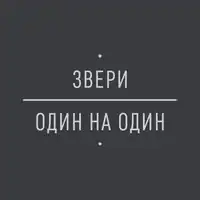 Обложка альбома группы «Звери» «Один на один» (2014)