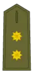 Teniente Coronel