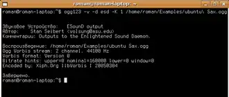 Скриншот программы ogg123