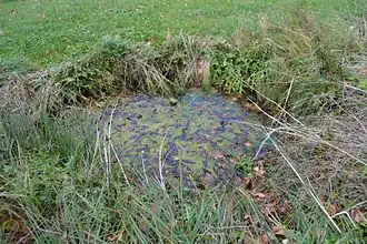 Жертвенный источник