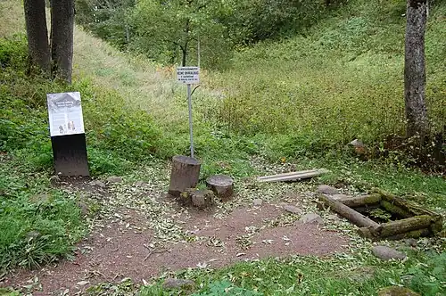 «Жемчужный» родник