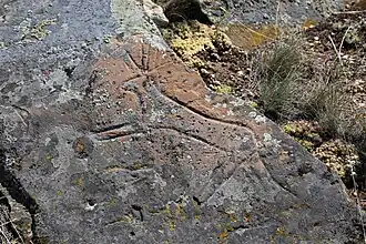 Изображение оленя