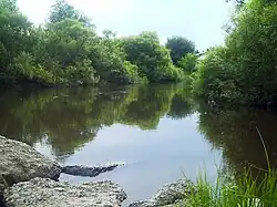 Олха в районе города Шелехова