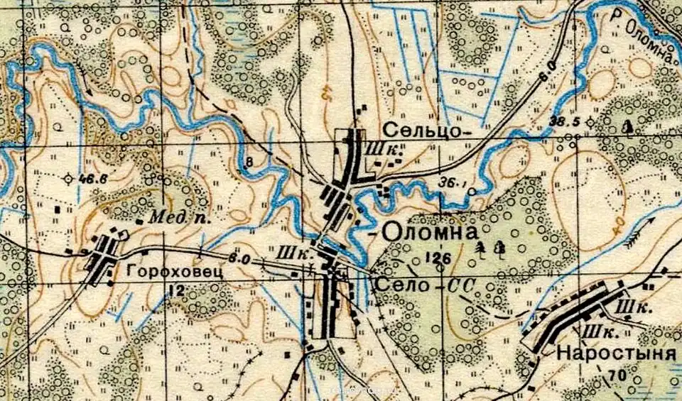 План деревни Гороховец. 1937 год