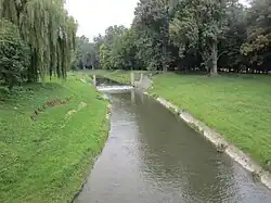 Орлява в Пожеге