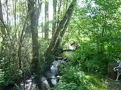 Остер в Оберкирхене