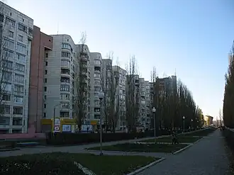 Аллея на улице Остужева