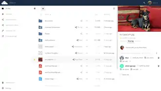 Скриншот программы OwnCloud