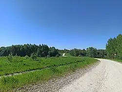 Дорога из деревни Карпово в Ознобишино