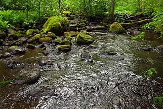 Река Пудисоо в районе деревни Калме