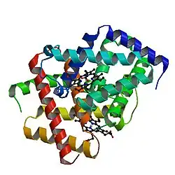 PDB прорисовано на основе 1umo.