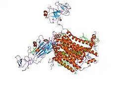 Цит. b6f, вид сбоку.