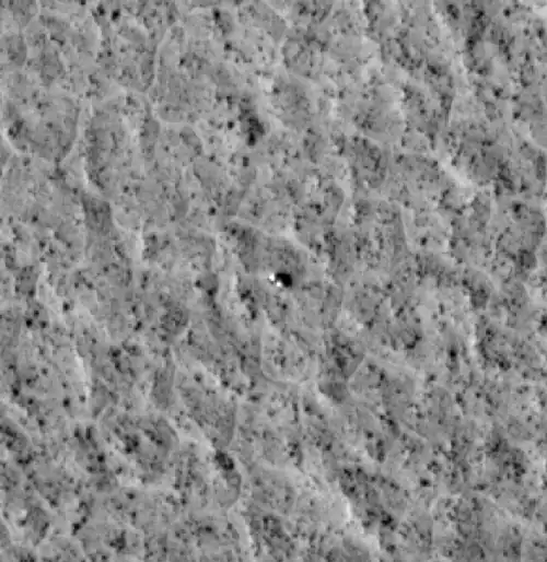 Фото станции «Викинг-2», сделанное спутником MRO в декабре 2006&nbsp;года