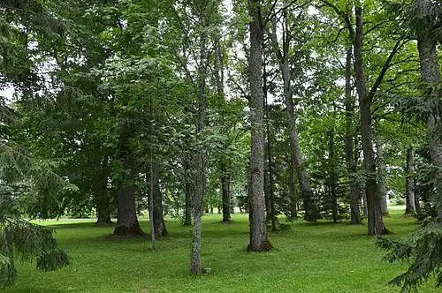 Мызный парк