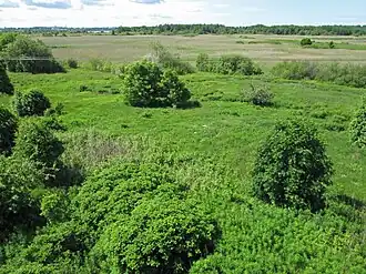 Птичий заказник Пальяссааре