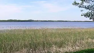 Вид на озеро с южного берега весной 2019 года