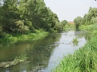 Река Пара вблизи села Красный Угол
