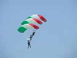 Выступление парашютистов на авиашоу в аэропорту Мишкольц.