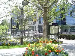 Лестничный сход