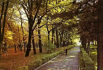 Парк имени 28 гвардейцев-панфиловцев, осень 1982 года.