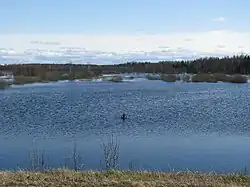 Паводок на реке весной 2010 года