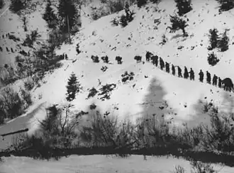 Части 2-го ударного корпуса НОАЮ переходят Камена-Гору[серб.] у Приеполя, 1943 год