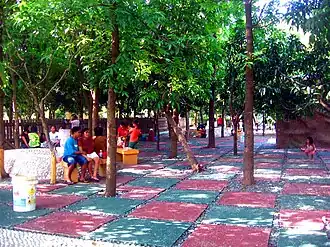 Дождевой лес в окраинах города