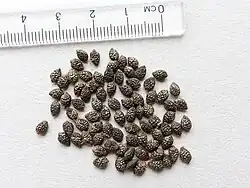 Семена пассифлоры голубой