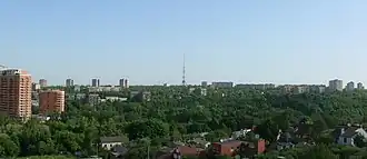 Вид через Саржин яр на восточную часть поля