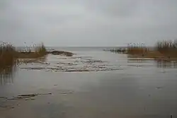 Побережье Чудского озера в Колкья