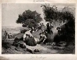 Сборщицы винограда. Офорт