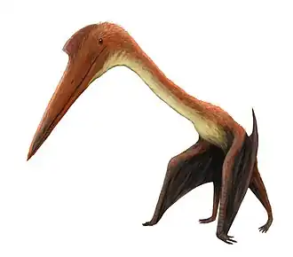 Реконструкция