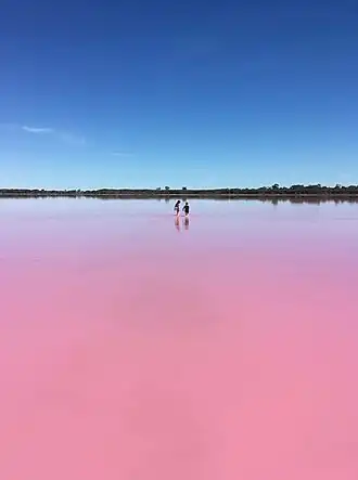 Озеро Пинк, 2015 год.