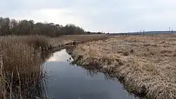 Среднее течение реки между деревнями Рудня и Чурилы