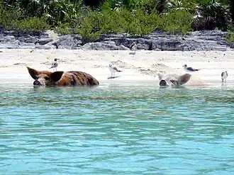 Фото 2012 года