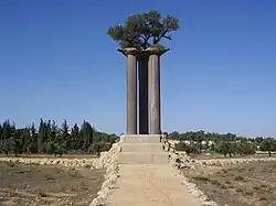 Скульптура "оливовые колонны"