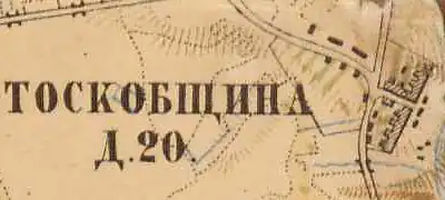План деревни Тоскобщина. 1885 год