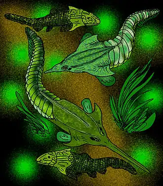 Neeyambaspis enigmatica (сверху) и Pituriaspis doylei (снизу); в самом верху и низу — панцирные рыбы