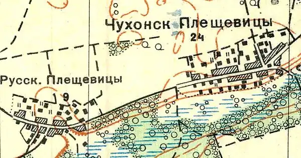 План деревни Плещевицы. 1933 год