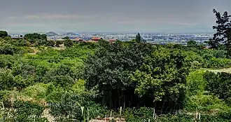 Вид на равнину в районе Белаштицы