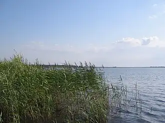 Вид с берега летом 2007 года