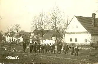 Корнице около 1920