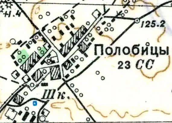 План деревни Полобицы. 1938 год
