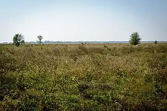 Заказник Пологи