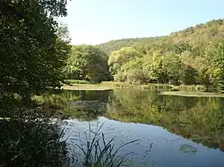 Пруд на реке Аратук