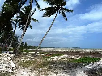 Берег Понгве