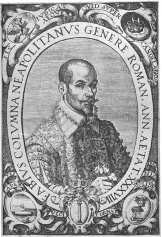 Портрет 1572 года