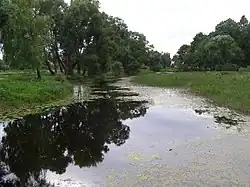 Река Прелька в Прейли