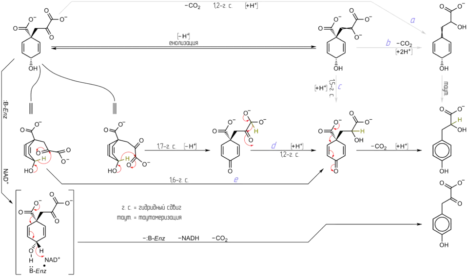 Механизм щелочной ароматизации префената