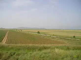 Прилепское поле&nbsp;— северная часть Пелагонии